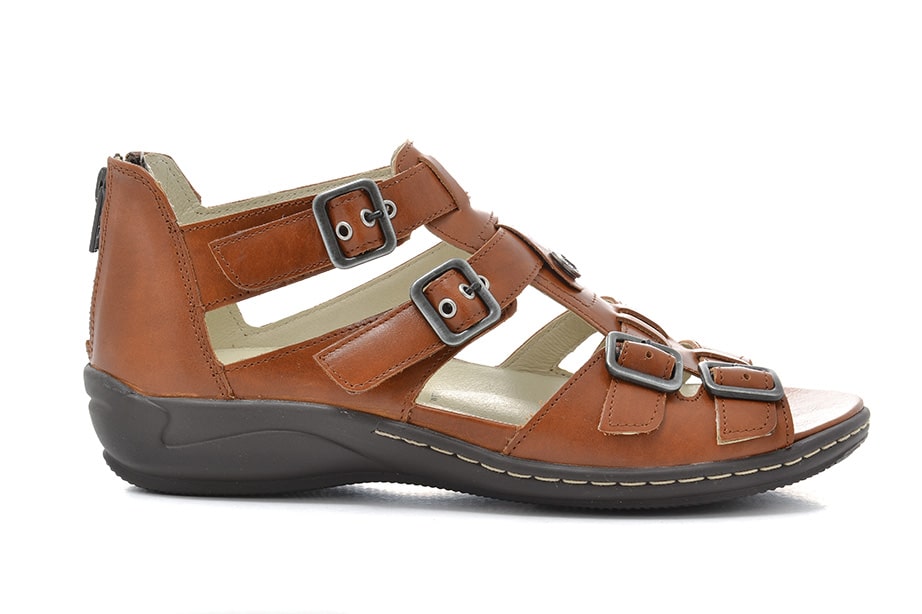 Waldläfer Hilena brun