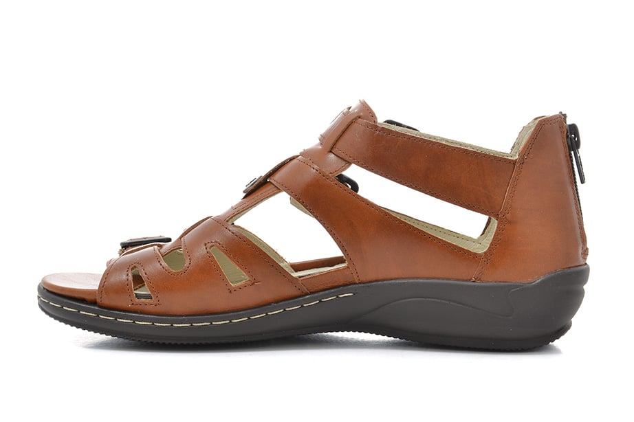 Waldläfer Hilena brun