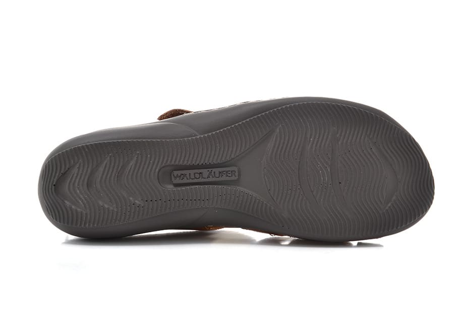 Waldläfer Hilena brun