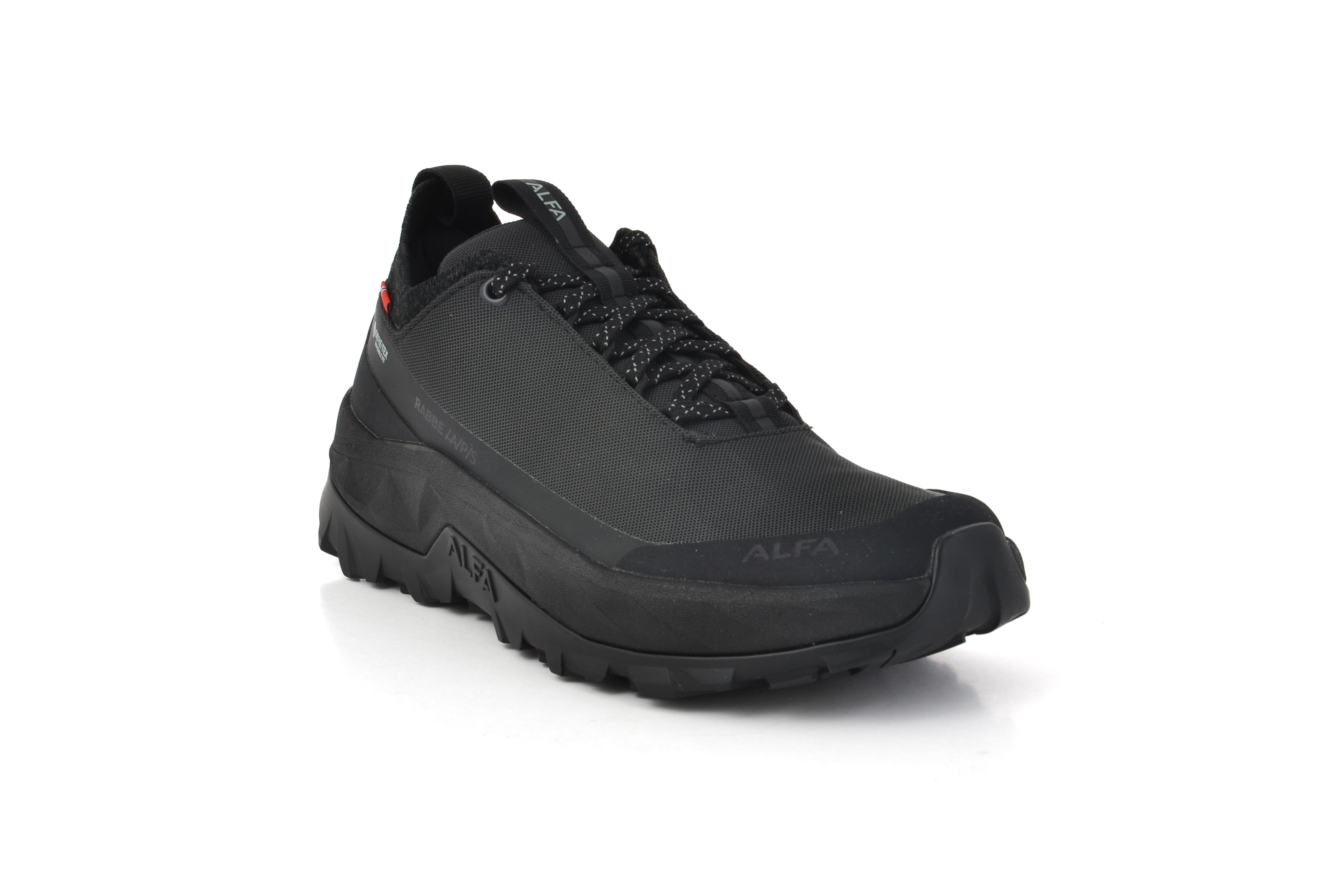 Alfa Rabbe APS GTX W