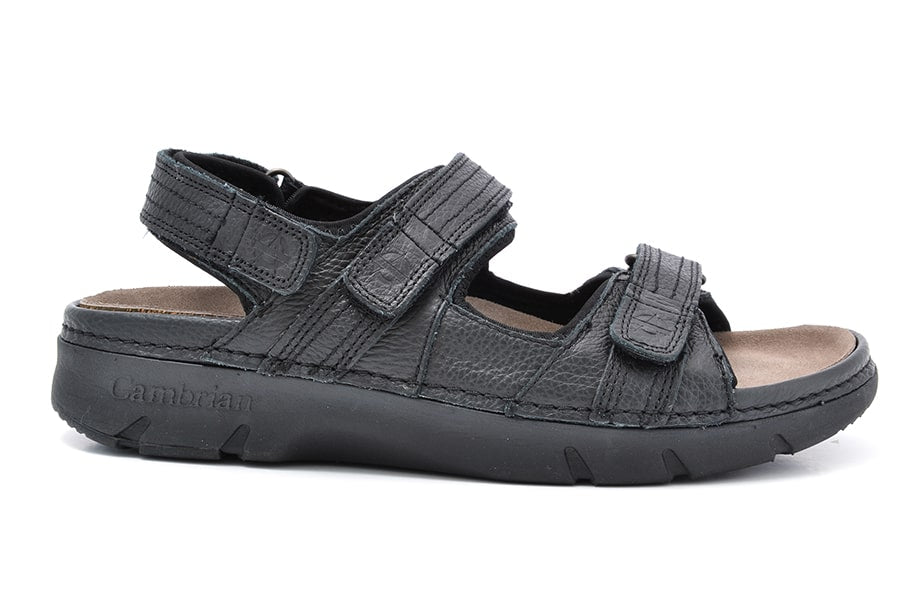 Cambrian Navigator